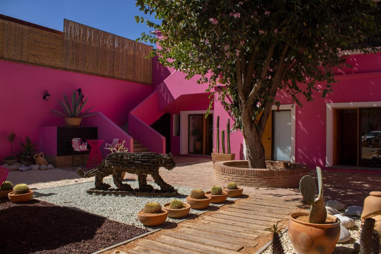 Casa Rosamate Apartment Oaxaca Exterior photo